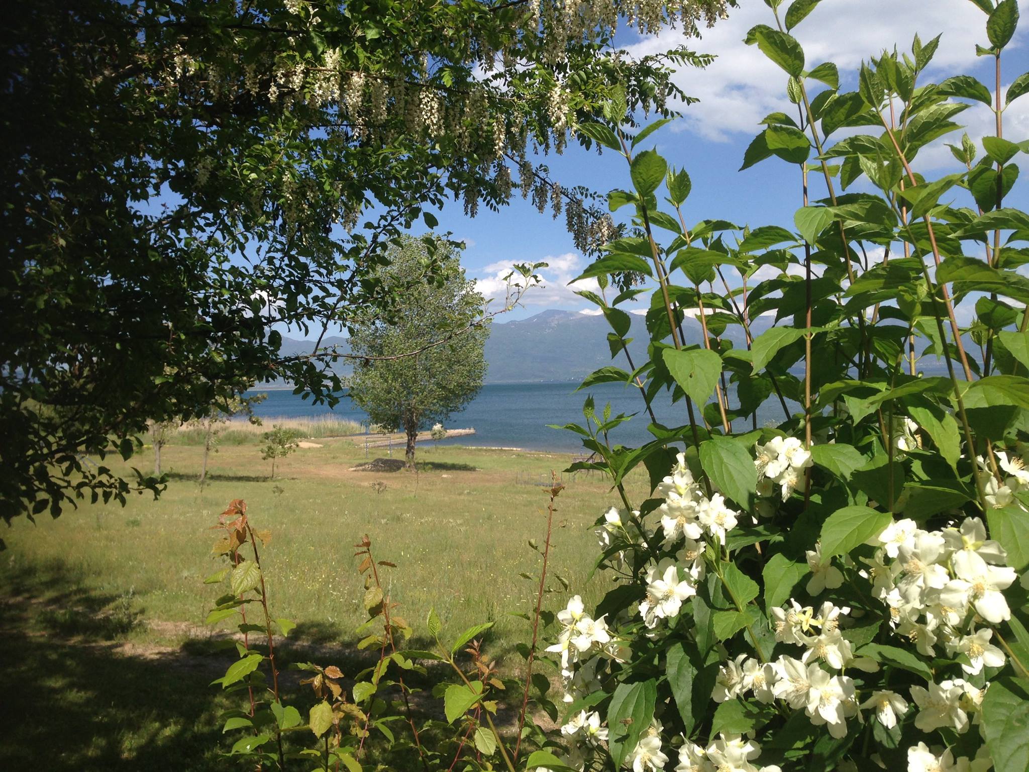 Автокамп Отешево
